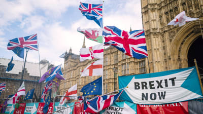 Utanför parlamentsbyggnaden i London syns flaggor och skyltar. 