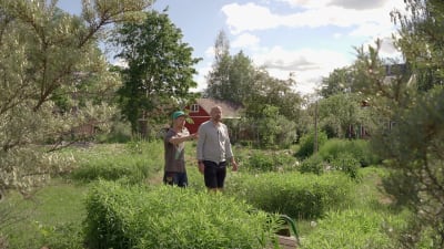 David Roxendal och Matias Jungar i en trädgård.