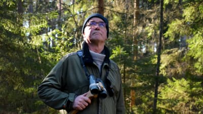Kaj-Ove Pettersson i skogen tittar upp mot trädkornorna, har en kikare i handen..