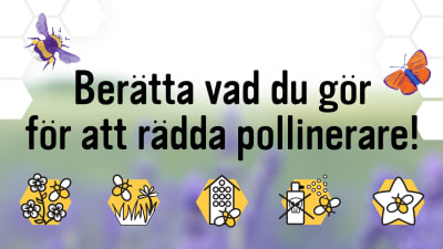 Grafikbild med vinjetter aom visar hur man kan rädda pollinerare.