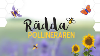 Kampanjbild för kampanjen Rädda pollineraren