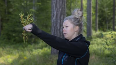 Miia Konttinen pitää suopursua kädessään.