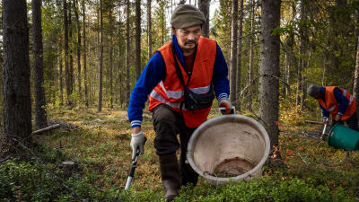 Marjanpoimintaa Kärsämäellä