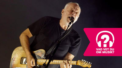 David Gilmour spelar elgitarr och sjunger i en mikrofon.