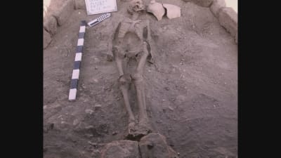 Fynd från egyptisk utgrävning