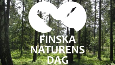 En bild av skog med texten "Finska naturens dag"