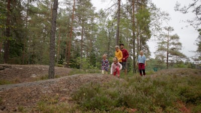 Perhe kävelee metsässä, jossa mäntyjä.
