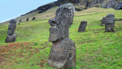 Moai-kivipatsaita ruohikkoisella Pääsiäissaarella.