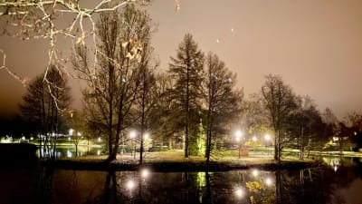 Belysning i Pumpviken i Karis en mörk höstkväll, lamporna speglar sig i vatten och lyser upp träden och parken.