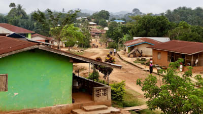 En by i en djungel fotograferad uppifrån.