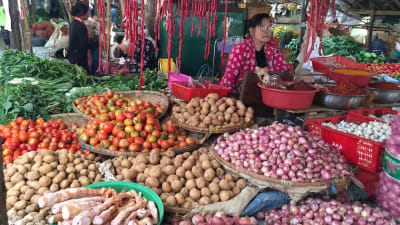 Grönsaksmarknad i Burma. Lökar och potatis.