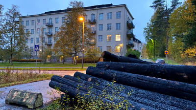 Eldhärjade stockar i Östanåparken i Nickby i Sibbo 08.10.21