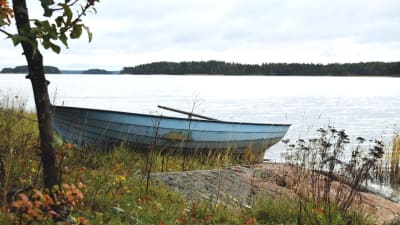 En roddbåt uppdragen på land på en höstig strand.