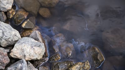Bild på en bäck och stenar, på vattenytan syns skimrande olja.