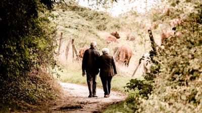 Ett äldre par vandrar längs en stig intill en hästhage.