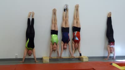 De här gymnasterna från Kronoby är en målgrupp för Jakobstads gymnasium i höst.