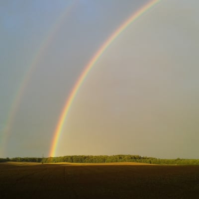 Sateenkaari peltomaisemassa