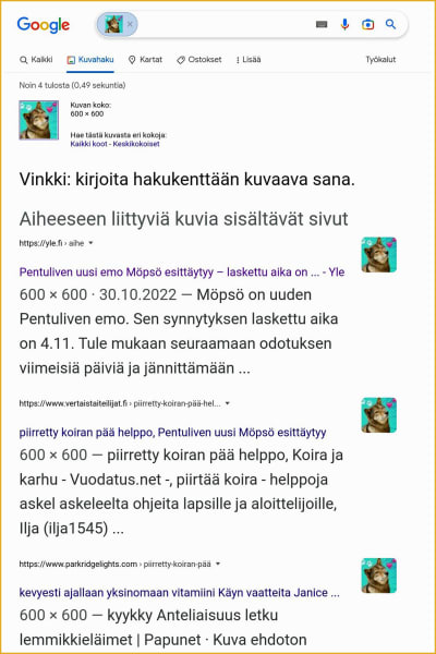 Kuvakaappaus Googlen käänteisen kuvahaun tuloksesta, haettu Ylen kuva löytyy muutamalta muulta sivulta.