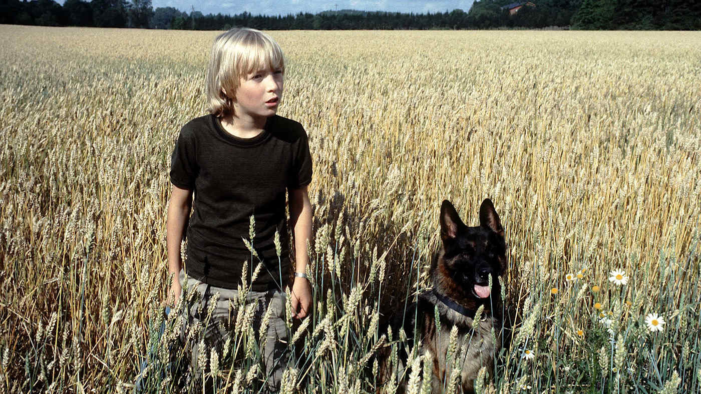 Tomi (Paavo Westerberg) ja Roi (poliisikoira Jami) pellolla.