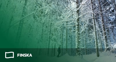 Abimix grafik för studentexamensproven i finska