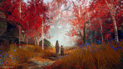 Poika ja nainen kävelevät metsäpolulla, jossa puut kukkivat punaisen sävyissä.