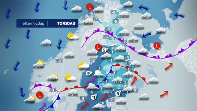 Eftermiddagens väder.
