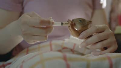 Oravaa syötetään ruiskulla.