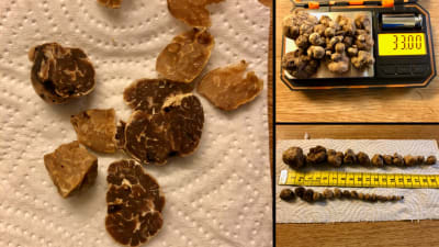 Tre bilder på tryffel-liknande svamp.