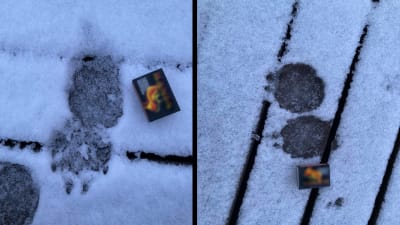 Två bilder på djurspår i snö, en tändsticksask bredvid.