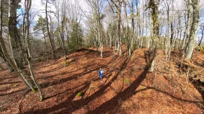 Olli Ojanaho sprints in snowless French winter forest