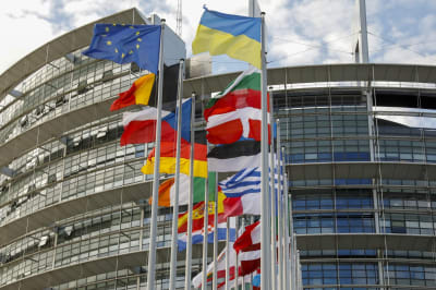 EU-ländernas flaggor vajar i flaggstänger framför Europaparlamentet.