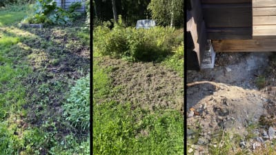 Tre bilder på gård med uppgrävd gräsmatta.