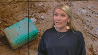 Liselott Lindström i TV-nytts studio.
