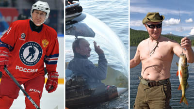 Collage av tre bilder med Vladimir Putin. I den första spelar han hockey, i den andra är Putin i cockpiten på en ubåt och i den tredje, bar överkropp, med en stor fisk.