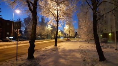Snöig gata med träd upplyst av orange gatljus.