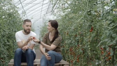 Filip och Linda bland tomater.