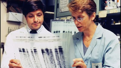 Jeffrey Taubenberger (t.v.) var den första som isolerade H1N1-viruset från 1918 i ett prov taget från en grav i Alaska. DNA-sekvensen som han och kollegan Ann Reid tittar på tillhör H1N1-viruset.