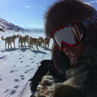 Tom Nylund med hundar på Grönland.