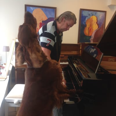 Hunden Elmo sjunger och spelar piano tillsammans med husse Heikki Joensuu