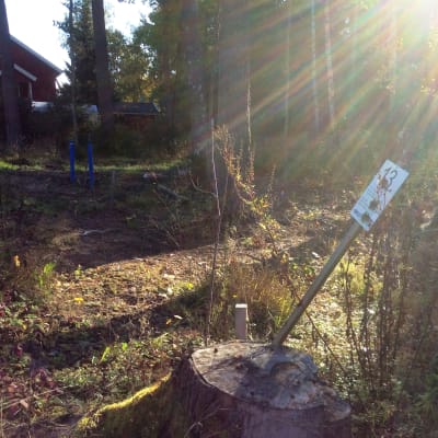 En tomt i skogen, blåa vattenledningar som är dragna till tomten syns, likaså en liten skylt med tomtnumret 13, solsken