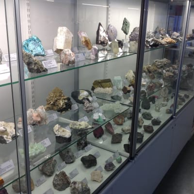 Mineralsamlingen innehåller en rad sällsynta mineral, men personalen vill inte uttala sig om värdet på samlingen.