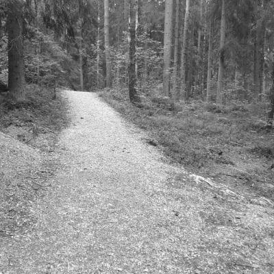 Svartvit bild på en grusväg i skogen.