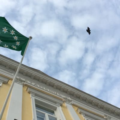 Gamla stadshuset i Ekenäs ur grodperspekti, Raseborgs vitsippsflagga vajar i stången, en kråka flyger på himlen.