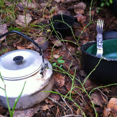 pomponrahka, helt åt skogen,