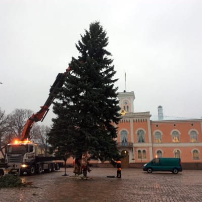 Julgran på Lovisa torg