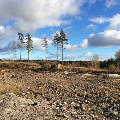 Obebyggda tomter på Majberget