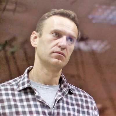 Den ryska oppositionsledaren Aleksej Navalnyj, bakom en glasruta, iklädd uppknäppt, rutig skjorta med t-skjorta under. 