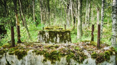 Varjakan sahan akselin katkeamiskohta Varjakansaaressa keskellä metsää, sammaloituneet rauniot, törröttäviä betoniputkia.