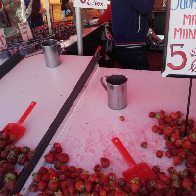 jordgubbsförsäljning vid salutorget i Helsingfors