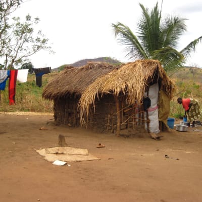 Byborna i Kikundi  befinner sig i ett plattläge. Odlar de ingenting får de inga inkomster, men försöker de odla bränner markägaren ner deras hus och förstör deras skördar. Foto: Yle/Smältpunkt/Liselott Lindström